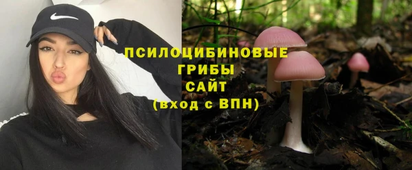 бошки Белокуриха