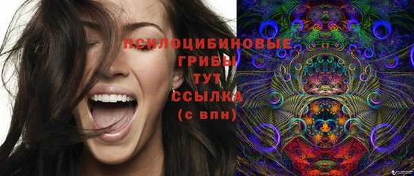 бошки Белоозёрский