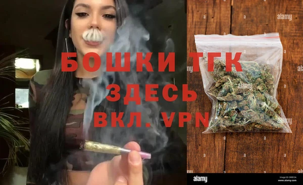 бошки Белокуриха