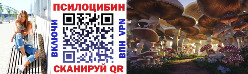 Галлюциногенные грибы GOLDEN TEACHER OMG ссылки Ростов-на-Дону