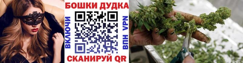 Марихуана гибрид  купить  цена  Ростов-на-Дону 